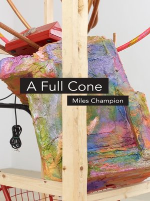 cover image of A Full Cone